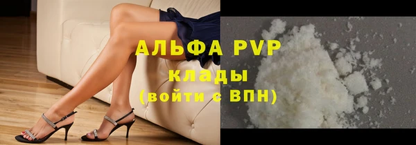 твердый Аркадак
