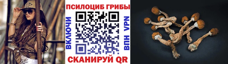 Псилоцибиновые грибы GOLDEN TEACHER  ОМГ ОМГ маркетплейс  Валдай 